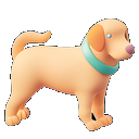 Live Pets